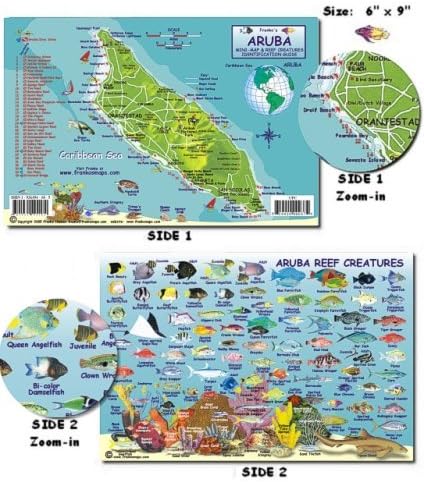 Aruba Franko Map Scuba Dive Diving Divers Snorkel Snorkeling Guide Fish Reef Creatures Guide (Mini-map and Fish Card) Franko Laminated Maps - Fish ID and Maps