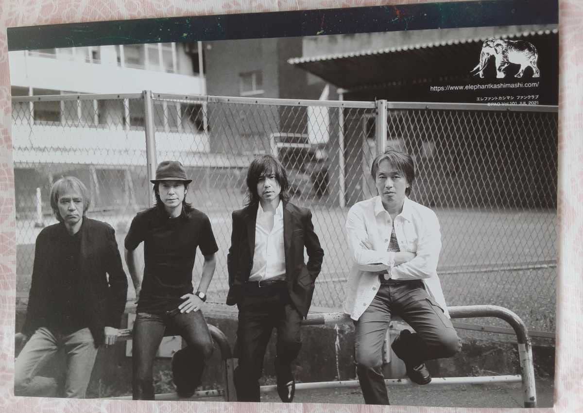 Amazon.co.jp: エレファントカシマシファンクラブPAO会報vol. 1012021