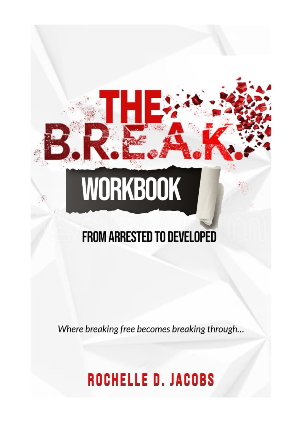 The B.R.E.A.K. Journey Workbook: From Arrested to Developed