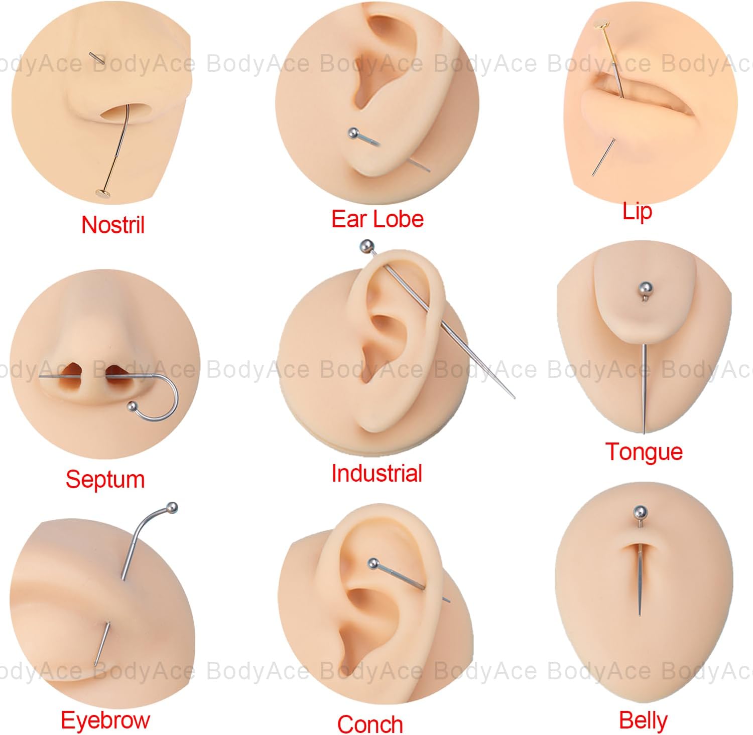 BodyAce 14G 16G 18G 20G Piercing Taper, Stainless Steel Threadless Insertion Pin Screw On Assistant Tool, Curved Body Piercing Stretching Kit for Ear/Nose/Navel/Lip/Eyebrow