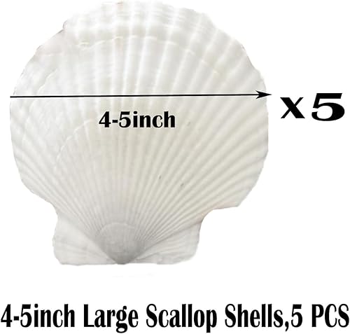 Miniatura 2 de Conchas de vieira grandes de 4 a 5 pulgadas, 5 unidades de conchas de mar blancas, manualidades, hornear, bricolaje, decoraciones de Navidad,