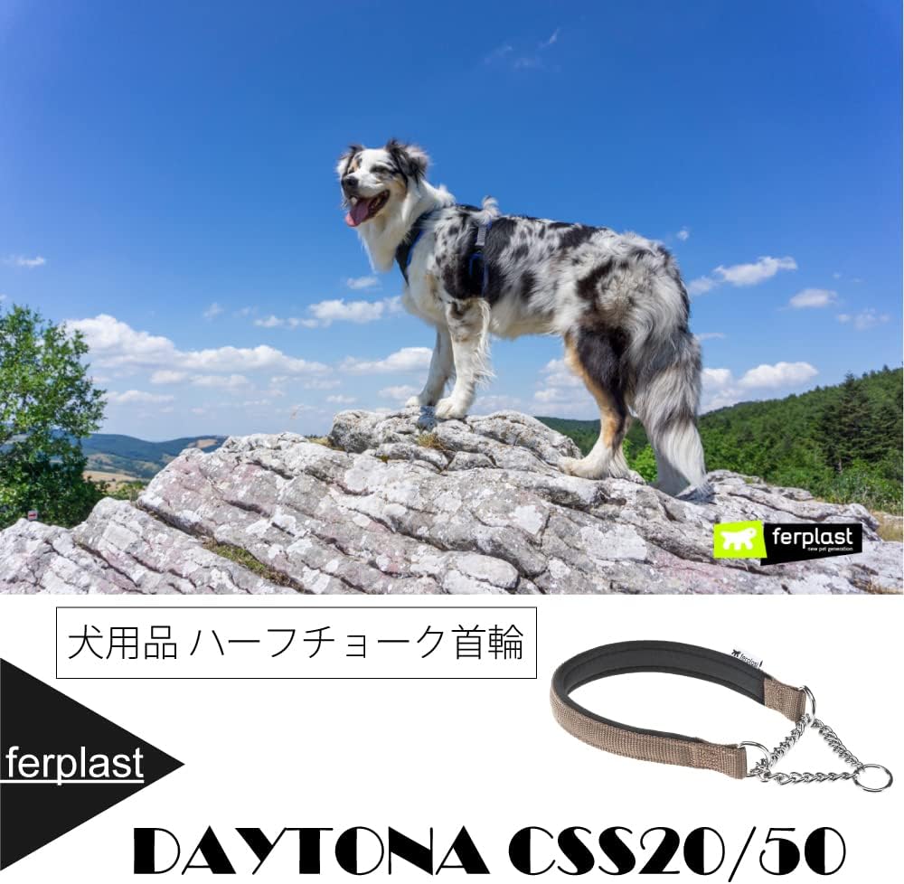 Nylon Dog Collar with Metal Chain by Ferplast
