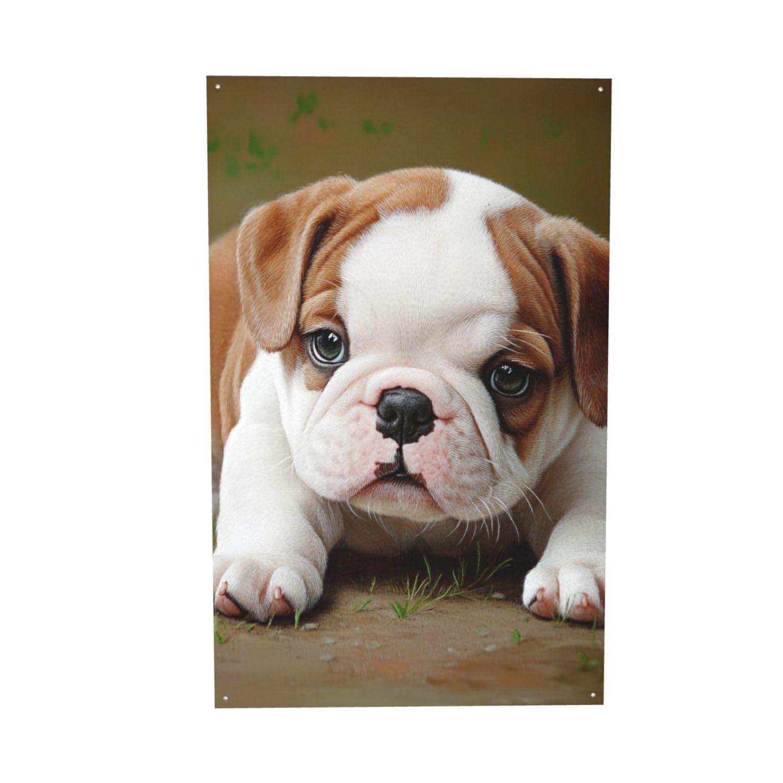 Bannière bouledogue pour dortoir étudiant et fête en plein air