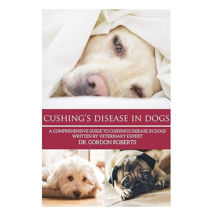 Cushing Disease Vs Syndrome In Dogs at Traci McEwen blog