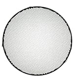 Profoto 100618 10 Degree Honeycomb Grid for Magnum-N.Beam (Black)