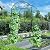 FOLLOOK Garden Arch Trellis for Climbing Plants Outdoor, 6.7ft Tall Cucumber Trellis for Raised Bed, Metal Arbor Climbing Plant Support Vegetable Tomato Bean Pea Grape Vine Trellis, Lightweight