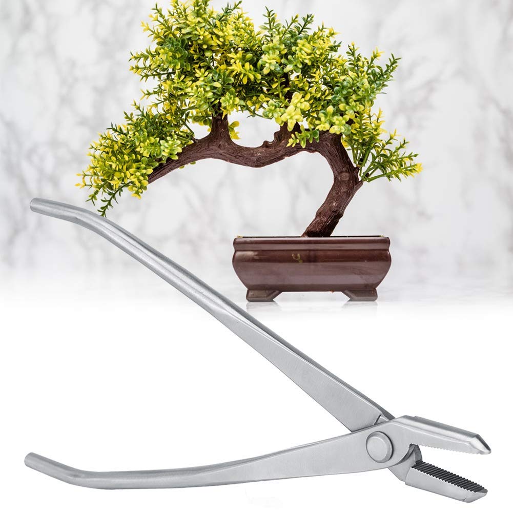 Attrezzo per Tagliare I Bonsai Cesoia Pomelli in Acciaio Inox con Tagliente Giardinaggio Attrezzi da Taglio