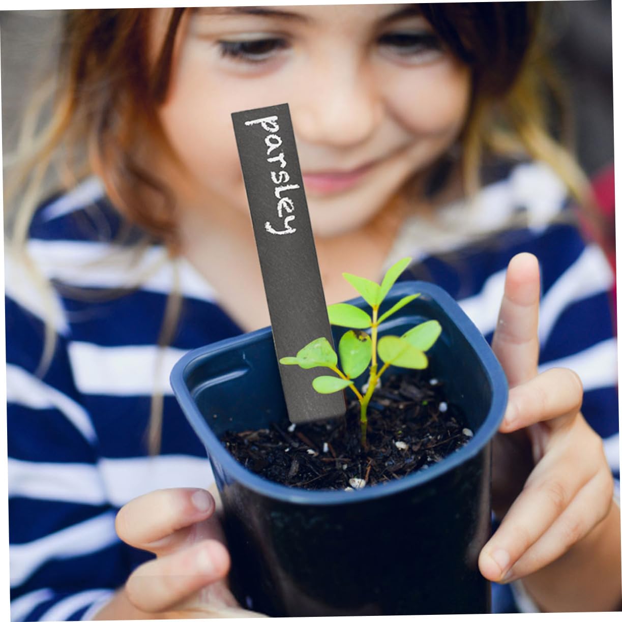 12pcs Étiquettes de Plantes en Ardoise Étiquettes Jardin Stables pour Fleurs et Plantes D'extérieur