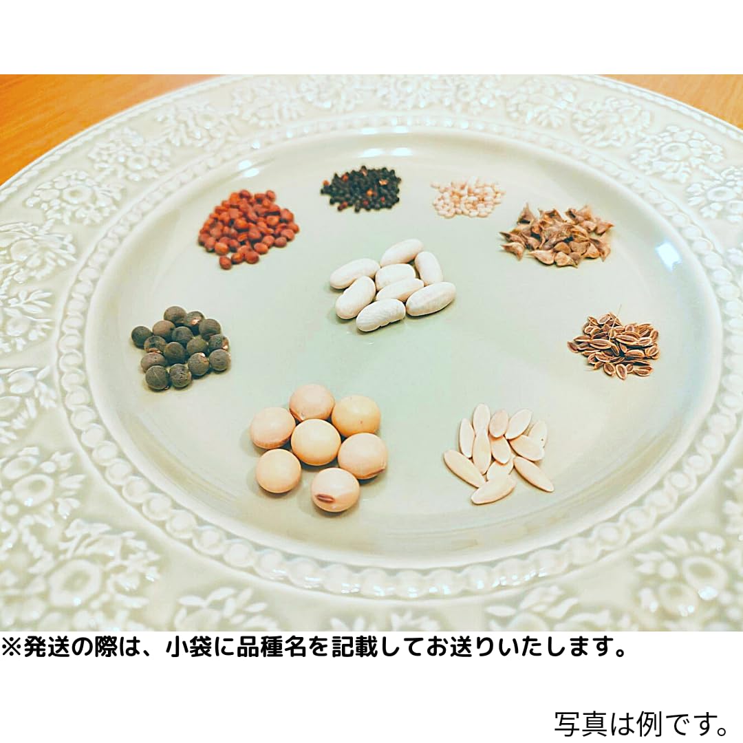 Amazon.co.jp: 野菜の種セット 全45品種 1年中蒔ける オールシーズン