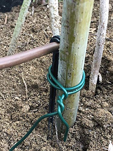 THE UM24 Garden Twine & Twist Ties for Tomato Plants, Climbing Roses, Vines, Cucumbers, Squash and Bonsai Training Wire 2mm Wrapping Cords- 50 Feet