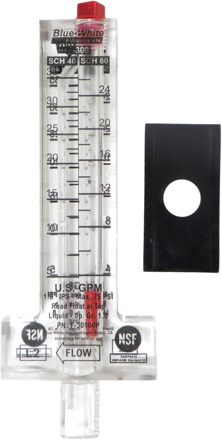 BlueWhite F30100P Horizontal Flow Meter Industrial & Scientific