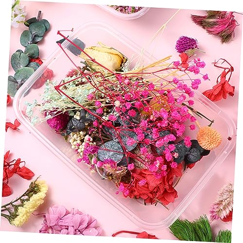 Set de flores secas para manualidades DIY 6 cajas miniatura 6