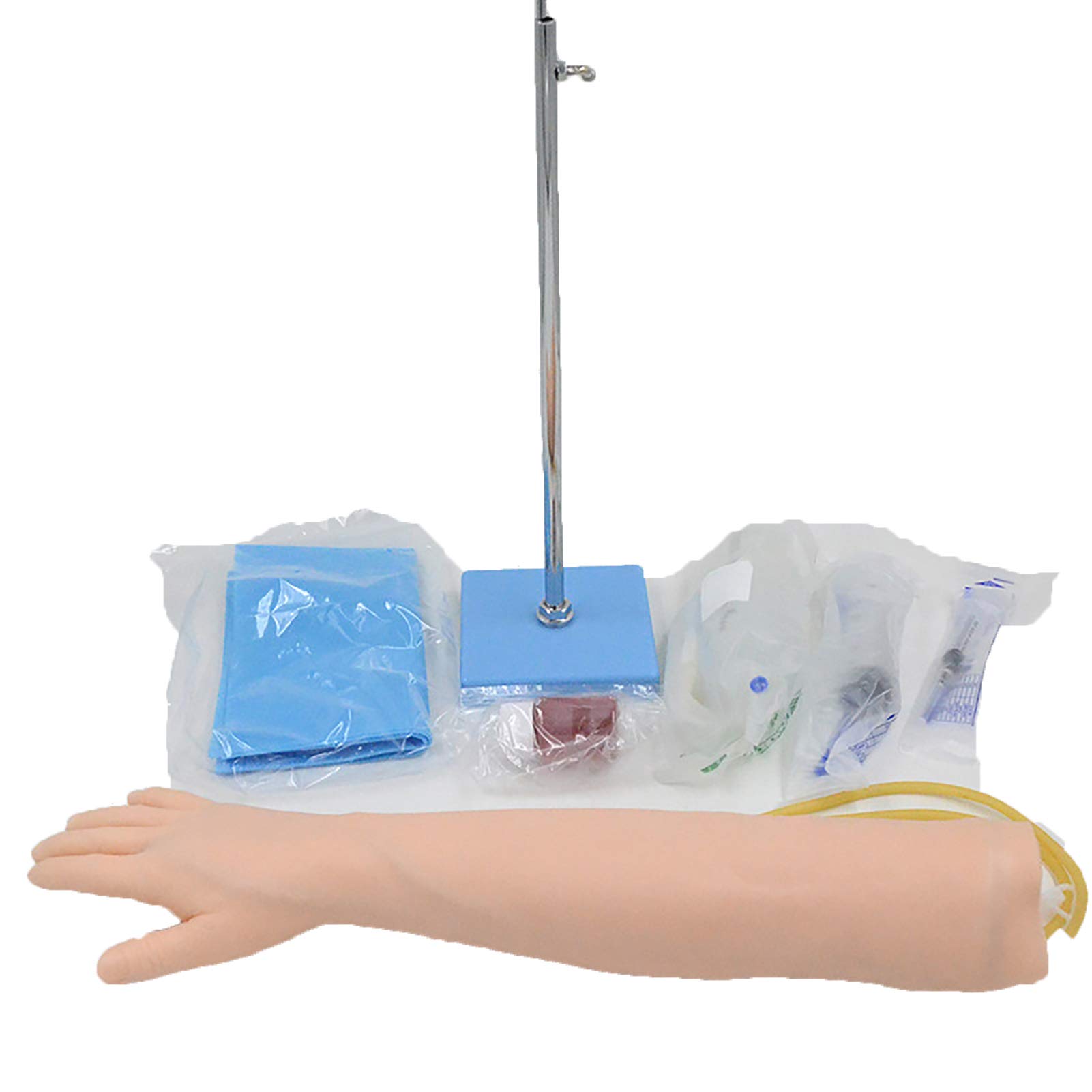 Buy N A Venipuncture Training Model, Phlebotomy and Venipuncture