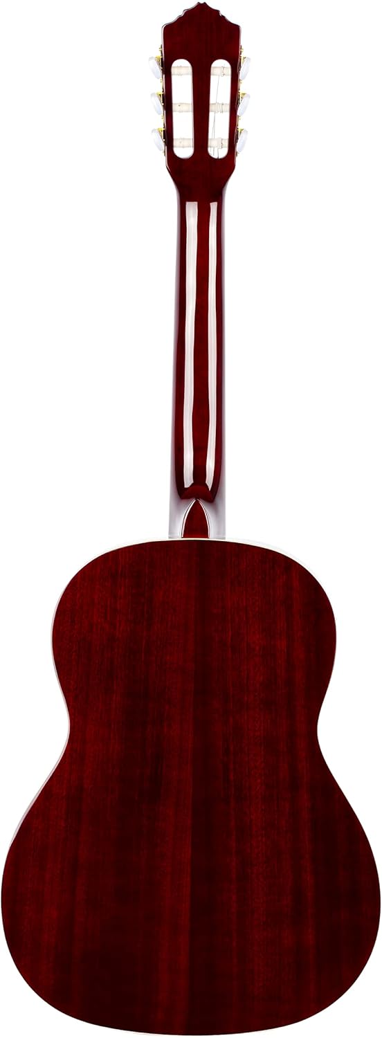 Family Series Pro Solid Top Slim Neck Nylon Classical Guitar w/Bag