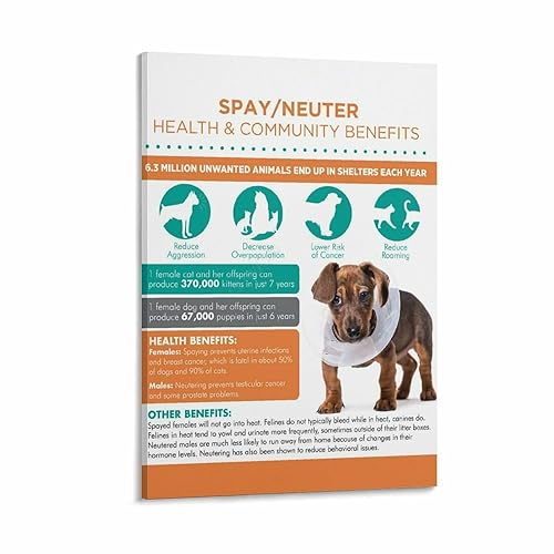 Dog The Risks Of Spay Neuter Poster Pet Hospital(1) Canvas