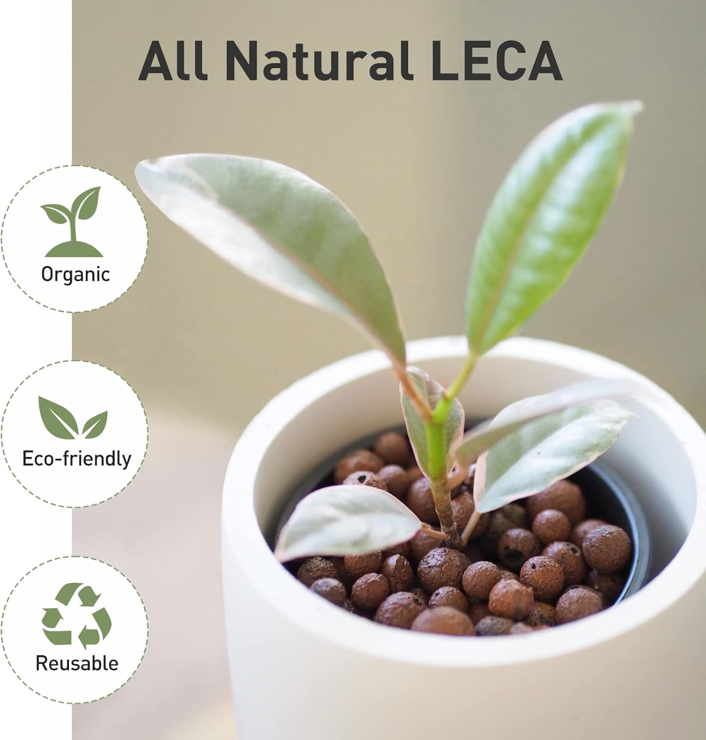 GASPRO 10lb LECA Expanded Clay Pebbles for Plants, Hydroponics, Aquaponics, 100% Natural Leca Balls for Soil Root Development, Orchid Potting Mix, Drainage and Reusable, 4-16mm thumbnail