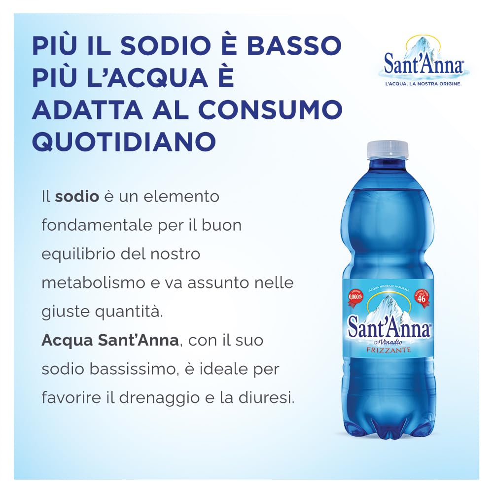 Acqua Sant'Anna Frizzante 0,5L | Pack 96 Bottiglie | Acqua Minerale Oligominerale Frizzante, Minimamente Mineralizzata | Freschezza dalla Sorgente Alpina