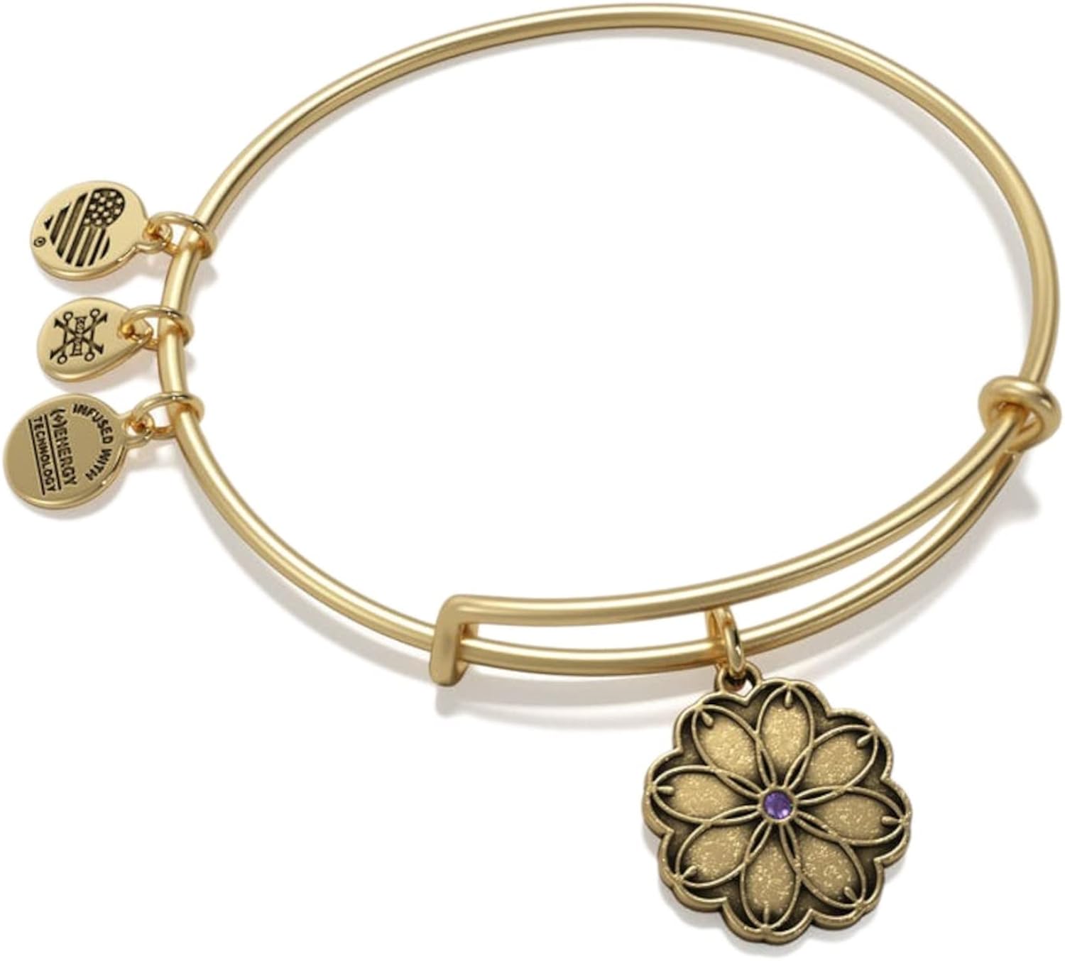 Alex and Ani Path of Symbols Expandable Bangle for Women, Healing Love Flower Charm, Rafaelian Silver Finish, 2 to 3.5 in : Everything Else
