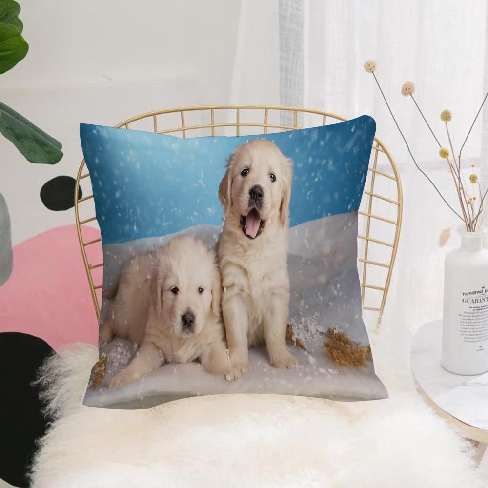 HYOSXW Cushion Cover,Throw Pillow Case Home Decorative for Living Room Bedroom Sofa Chair 16X16 Inch,Dog, blue background, snow, two golden retrievers, puppies, golden retrievers,Pillowcase 40X40cm