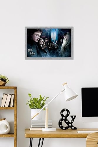 Vista 16 de Trends International Harry Potter y el príncipe mestizo - Póster de pared de la fraternidad, 22.375 x 34 pulgadas, versión premium sin marco