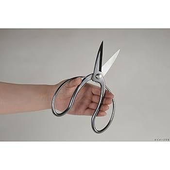 大久保剪定鋏　幻の光弘　昭和名品　1本限定販売　新品未使用 楽天市場】ハサミ 大久保鋏 国久光 青紙 鋼付 張箱入 剪定鋏