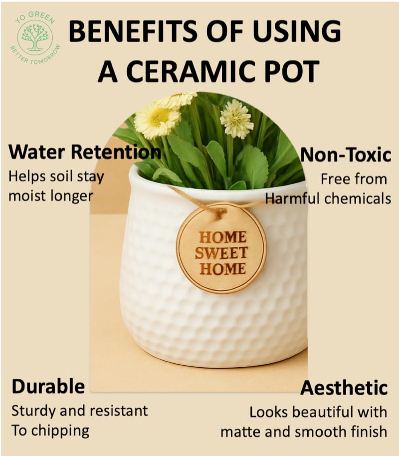 Image of Yo Green Ceramic Plant Pot for Indoor & Outdoor, Modern Planter for Home & Office Decor, Durable, Stylish Finish, Ideal for Tabletop, Shelf, Balcony, Great Gift Idea (White, 3 Inches)