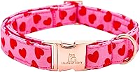 Vista 26 de Lionheart glory Collar de perro floral de alta calidad, collar de primavera para perro, ajustable, resistente, para perros pequeños