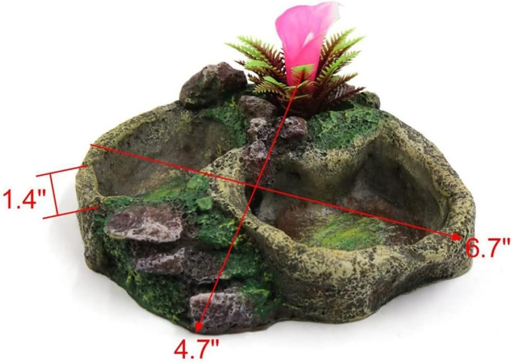 Reptile Water Dish Food Bowl Resin Feeder Bowl for Tortoise Lizard Pet Products (Color : C) (B)