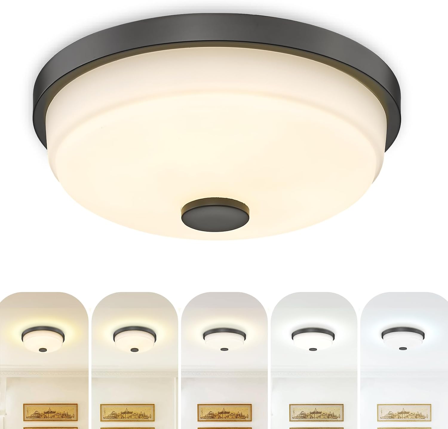 15W LED Flush Mount Ceiling Light Fixture 12'' Dimmable Ceiling Light with Remote Control 3000K-6500K 5CCT Modern Bathroom Ceiling Light Milk Glass for Bedroom Living Room Hallway No.16F 12 Inch