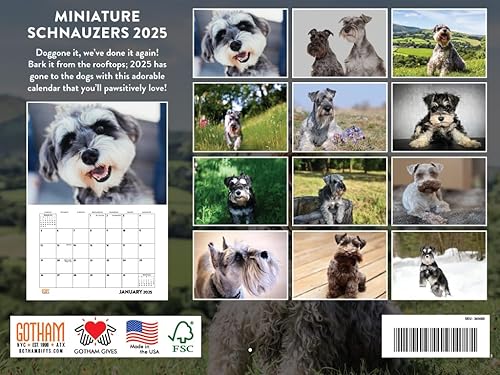 Vista 60 de Calendario Goldendoodle 2026 Golden Doodle mensual de pared calendario de 12 meses Fabricado en Estados Unidos