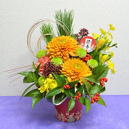 [Gt[]2026    r^~J[̂AWg t[Mtg ԃMtg N 蕨 v[g