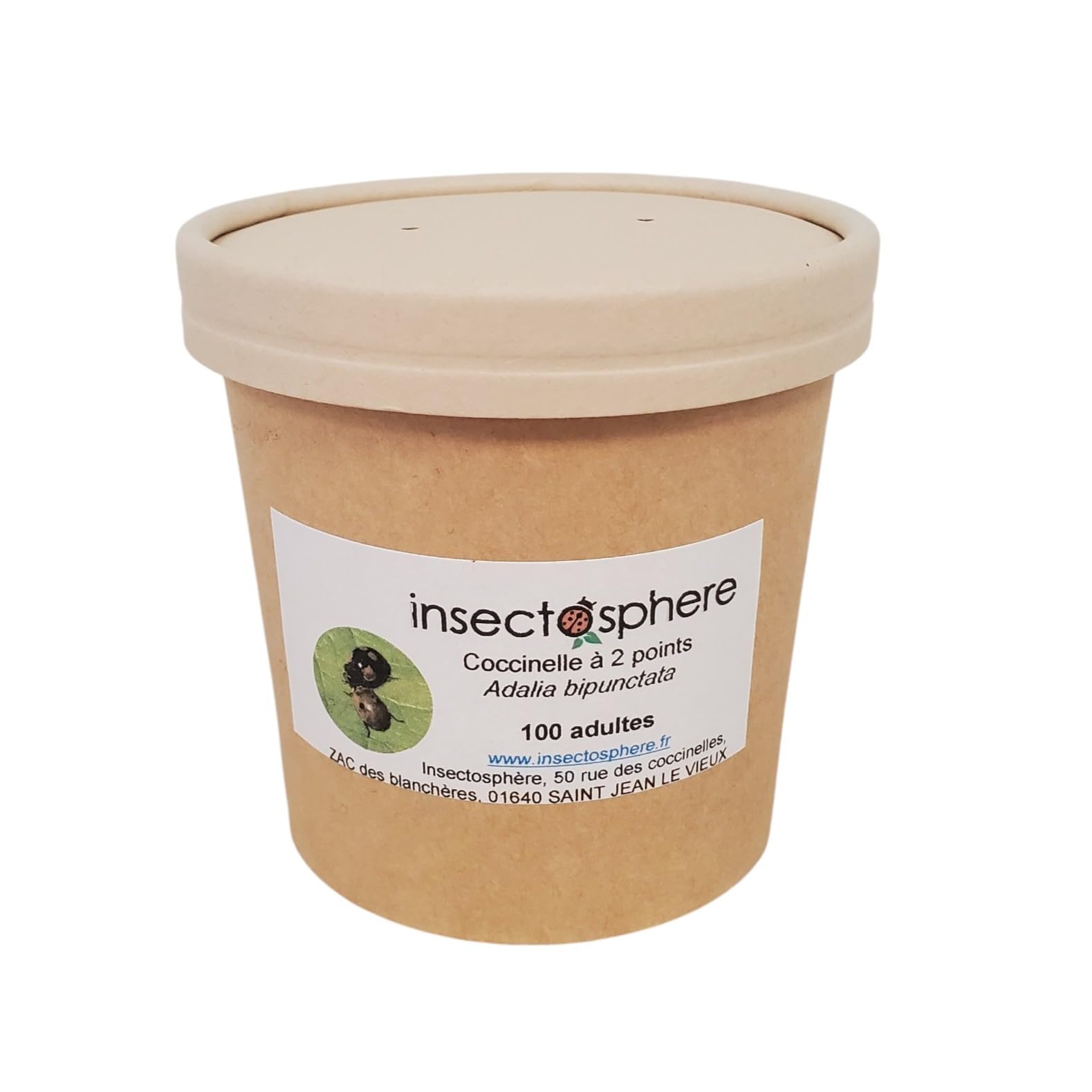 Coccinelles à 2 points anti pucerons des arbres fruitiers et ornementaux. Traitement biologique et naturel. (100 coccinelles pour 5 arbres)