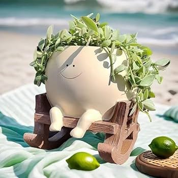 M✧succulent ·͜· ︎︎ᕷ Succulent (Tender) Echeveria Round Leaf – The Greenery