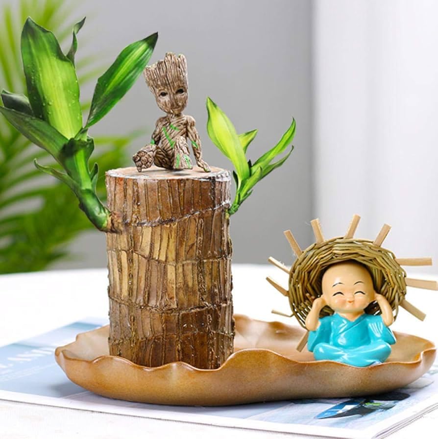 Lucky brazilian wood tree (pack of 1) (B0DHL788F6) Amazon Price History, Amazon Price Tracker