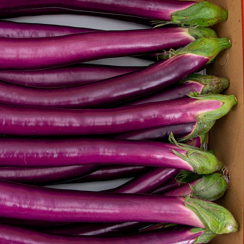 Berenjena Japonesa 2,5kg, La Parcela, Origen España, Andalucía (Costa Tropical), Comprar Berenjena Fresca, De La Huerta A Tu Casa, Producto de Cooperativa Granada La Palma