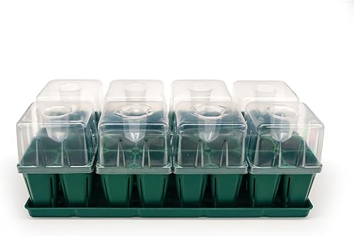 Vego garden Seedling Suite Products, paquete de 8 bandejas de plántulas jumbo con tapas de bandeja de plántulas y bandejas de riego inferiores de 10 Vego garden Seedling Suite Products, paquete de 8 bandejas de plántulas jumbo con tapas de bandeja de plántulas y bandejas de riego inferiores de 10