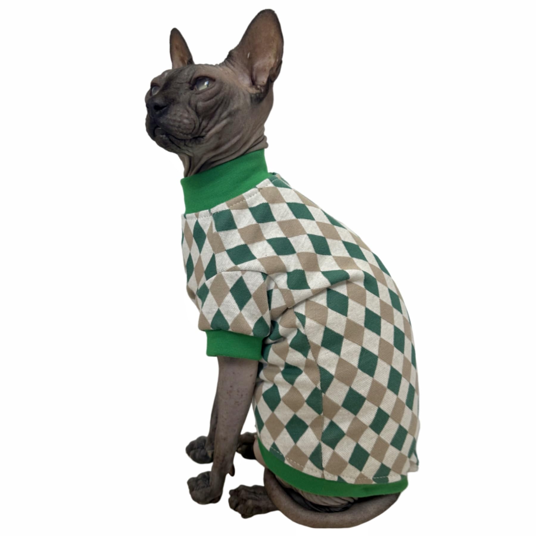 Camisa Vintage Mulan De Algodão Sphynx Para Gatos Sem Pelos, image size:1800x1800