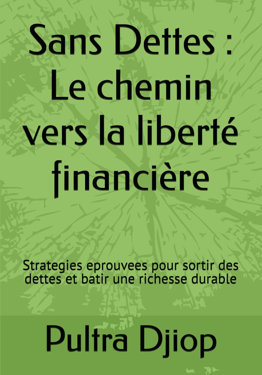 Sans Dettes : Le chemin vers la liberté financière: Strategies eprouvees pour sortir des dettes et batir une richesse durable