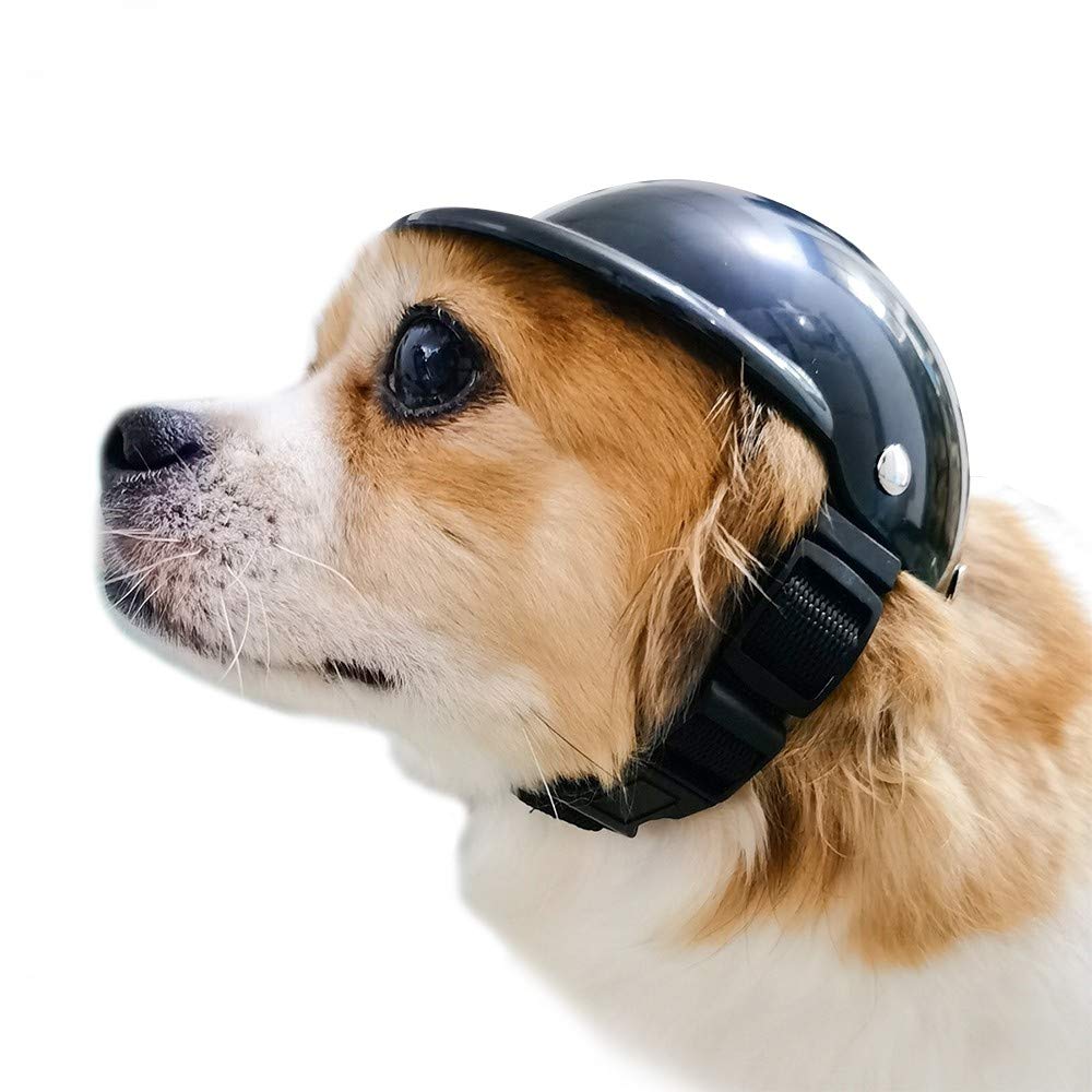 Helm fr Hunde, Haustierhelm Hundehelm fr Hunde, Einstellbar Hund  Motorradhelm Fahrradhelm Cap fr Katzen/Kleine Hunde, Schwarz : Amazon.de:  Haustier