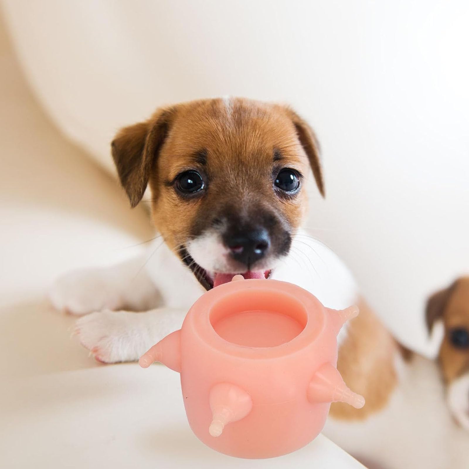 Silikon Babyflasche für kleine Tiere mit Mehreren Saugergrößen, sicheres Basisdesign, Kätzchen Stillflasche, Futterspender für Haustiere