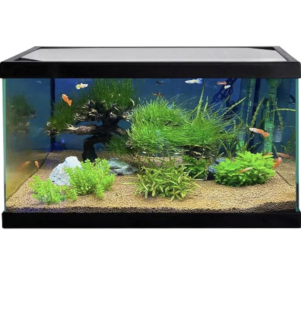AKKUA Acuario PECERA DE Cristal 20 litros Kit Completo