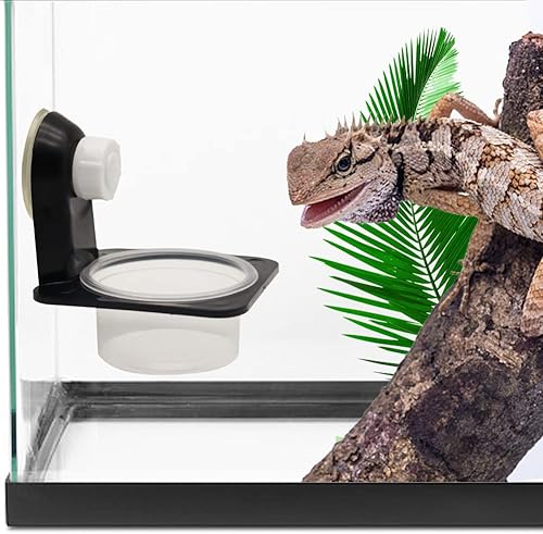 Miniatura 4 de Tazón de agua para reptiles, doble cresta, con 10 cuencos de 0.5 onzas, con ventosa desmontable, para lagarto, tortuga, reptil, araña, gecko
