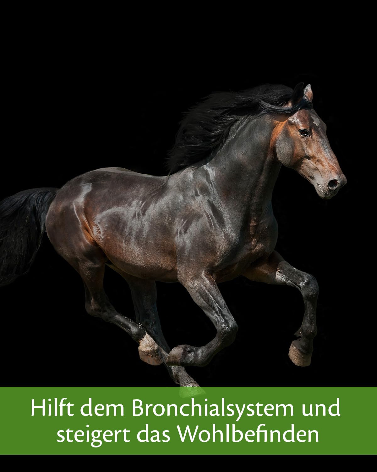 Equistro Gránulos para Caballos Secreta Pro MAX (tamaño: 800 g)