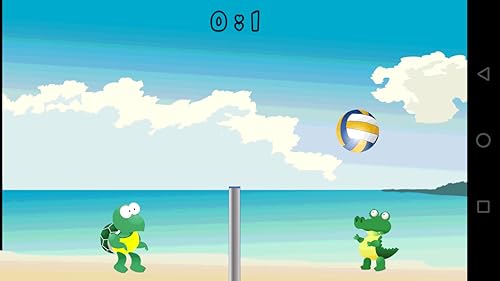 N Volleyball 29