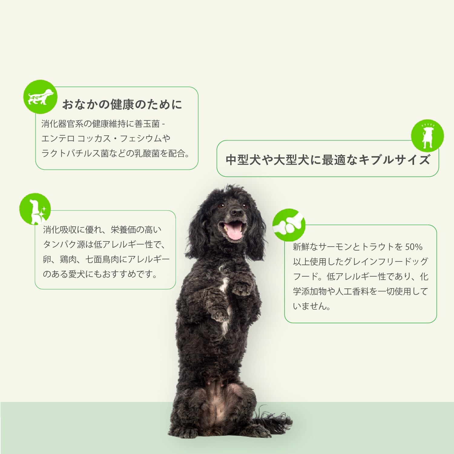 Amazon.co.jp: Planet Pet プラペ ! ・CP サーモン & アスパラガス2kg