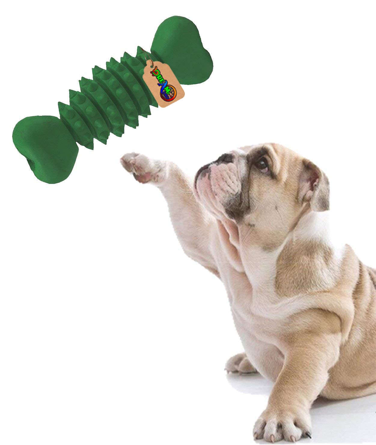 DreamAuro Jumbo Size Natural Rubber Bone Shape Toy Cum Tug Toy Cum Chew Toy for Dog/Puppy/Cat/Kitten (Green) (B07X2WGXX2) Amazon Price History, Amazon Price Tracker