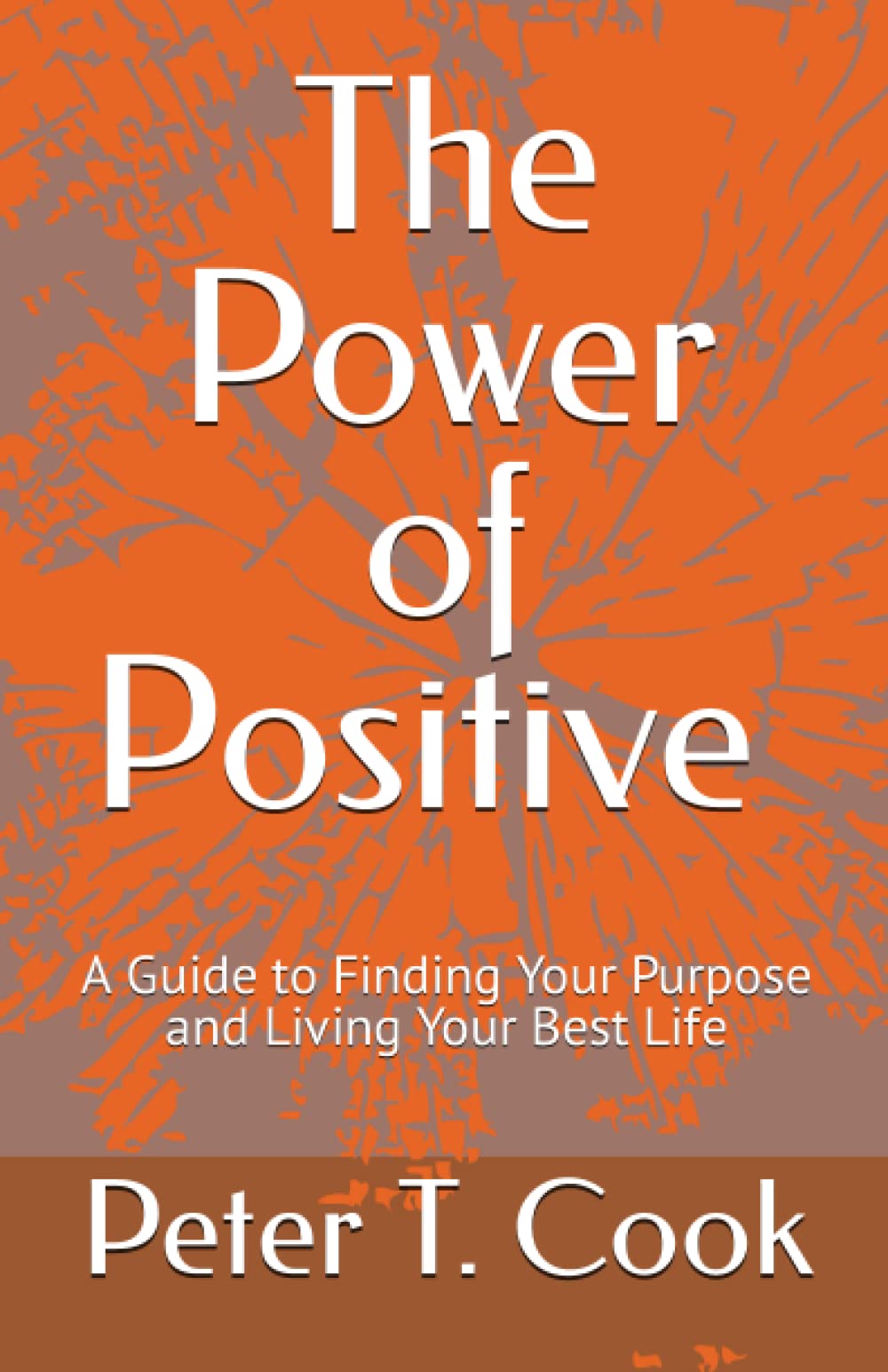 The Power of Positive: A Guide to Finding Your Purpose and Living Your Best Life
