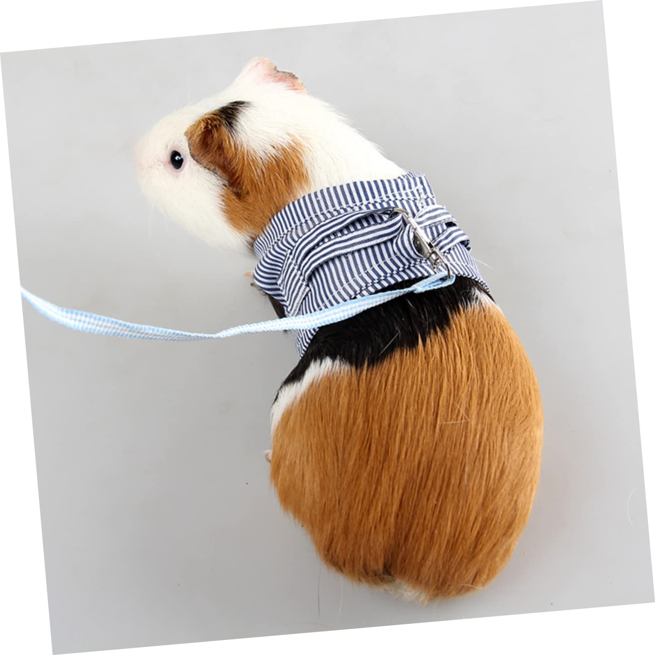 INOOMP 3stücke Haustier Geschirr Mit Leine Verstellbar Und Atmungsaktiv Für Meerschweinchen Igel Und Chihuahua Blau Für Ausflüge Und