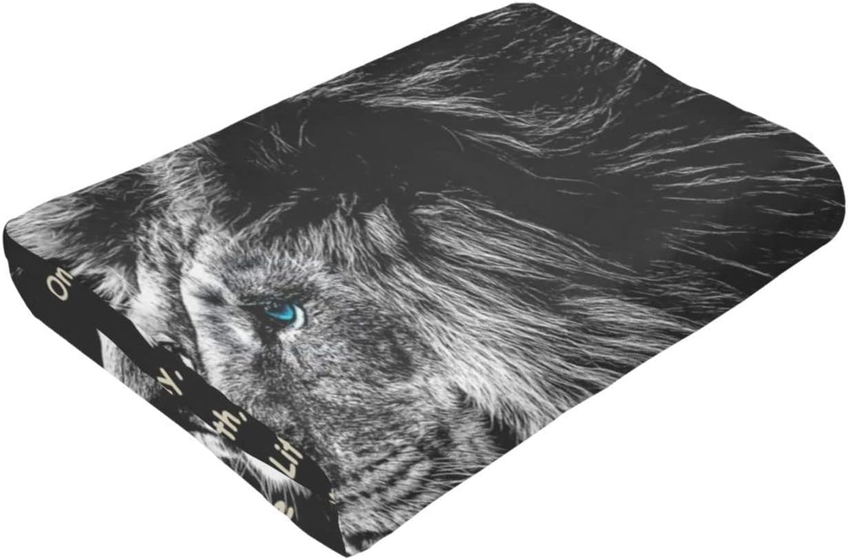 Bible Verse Blanket Christian Gifts (80x60inch)- Religious Throw Blanket Soft Lightweight Cozy Plush Warm Lion Blankets for Women Men - Image 6