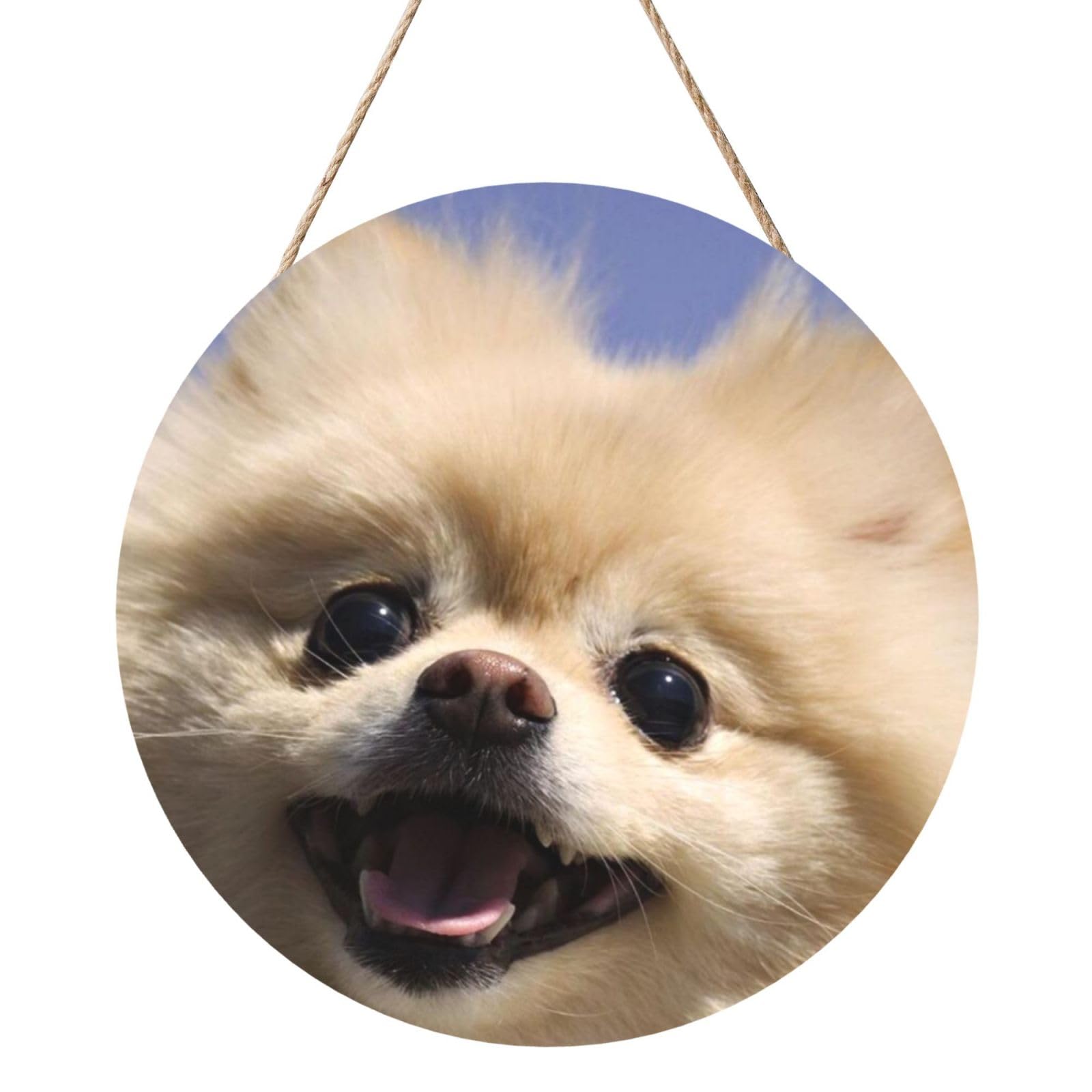 InOmak Happy Pomeranian Printed, Round Wood Panel Painting 12 in, Wall Hanging Painting For Home